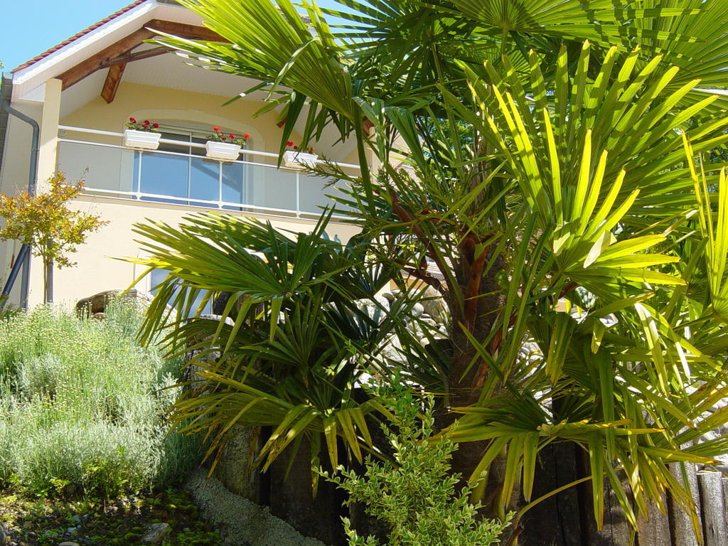Chambres D'Hotes Coteaux Sud Jurancon Luaran gambar